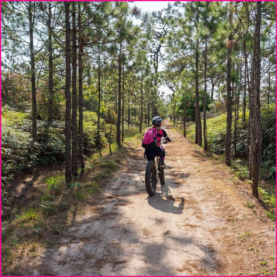 Mobilhome 2Ch Climatise-Terrasse Fermee-4 Velos-Camping 4 Etoiles Les Charmettes Les Mathes Zewnętrze zdjęcie